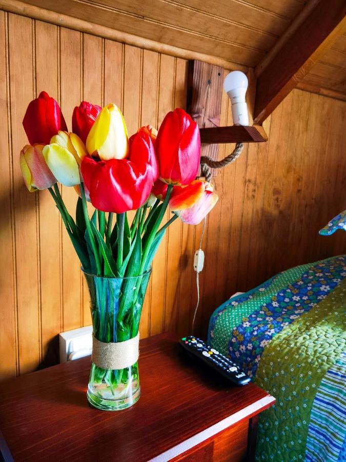 Hostal Viento Sur Coyhaique Eksteriør billede